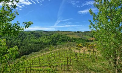 Discover the Essence of Tuscany